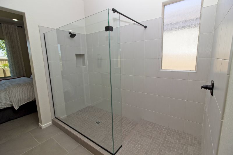 Contemporary Shower with Clear Glass Enclosure